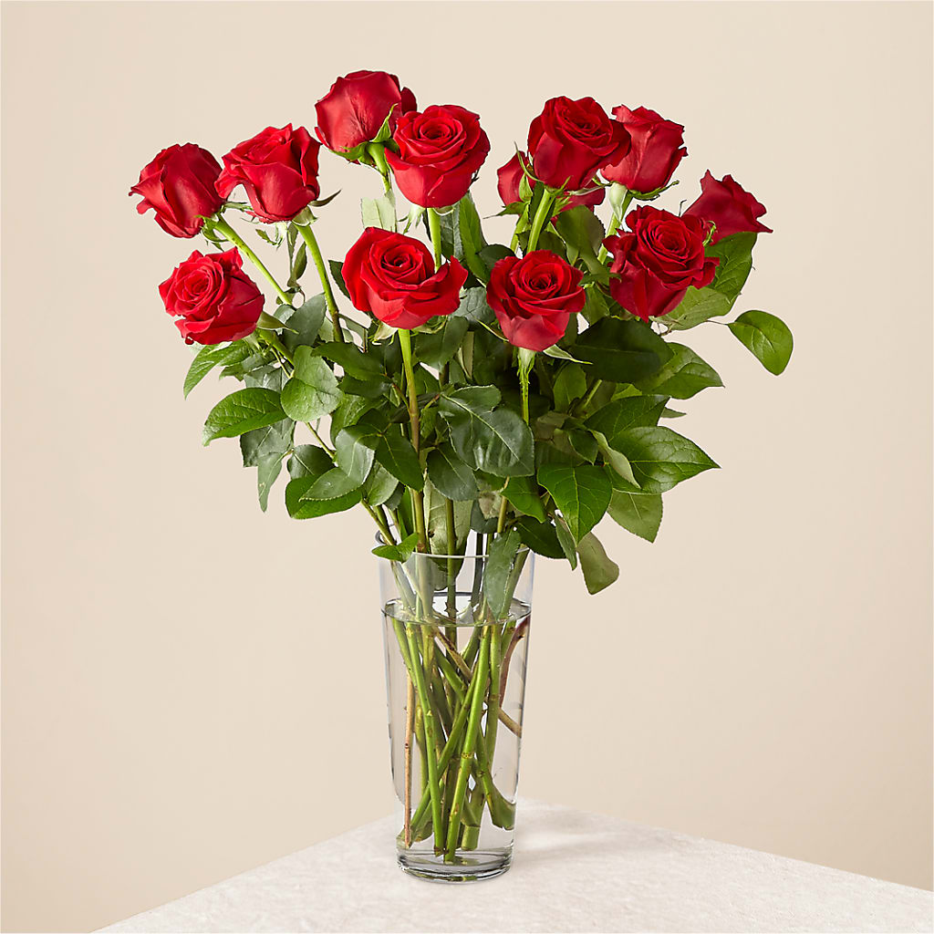 Long Stem Red Rose Bouquet – BELMA'S PRECIOUS FLOWERS, Kodiak AK