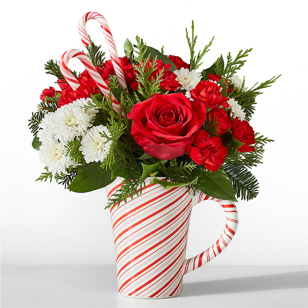 Peppermint Swirl Mug – BELMA'S PRECIOUS FLOWERS, Kodiak AK