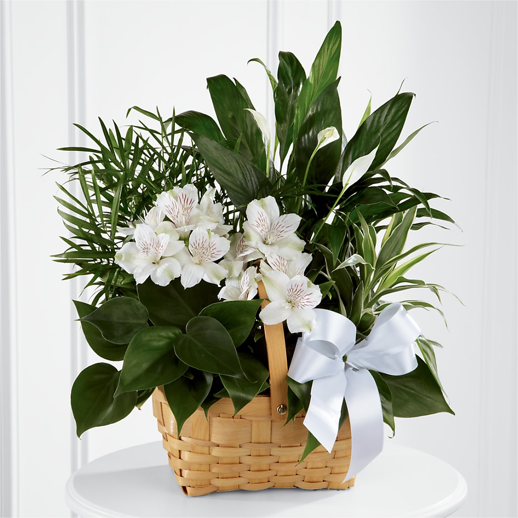 Peace & Serenity Dishgarden – BELMA'S PRECIOUS FLOWERS, Kodiak AK