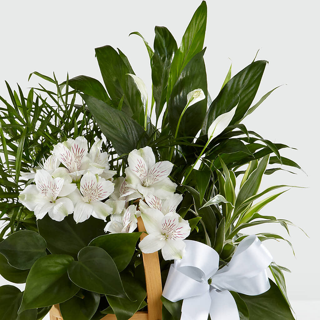 Peace & Serenity Dishgarden – BELMA'S PRECIOUS FLOWERS, Kodiak AK