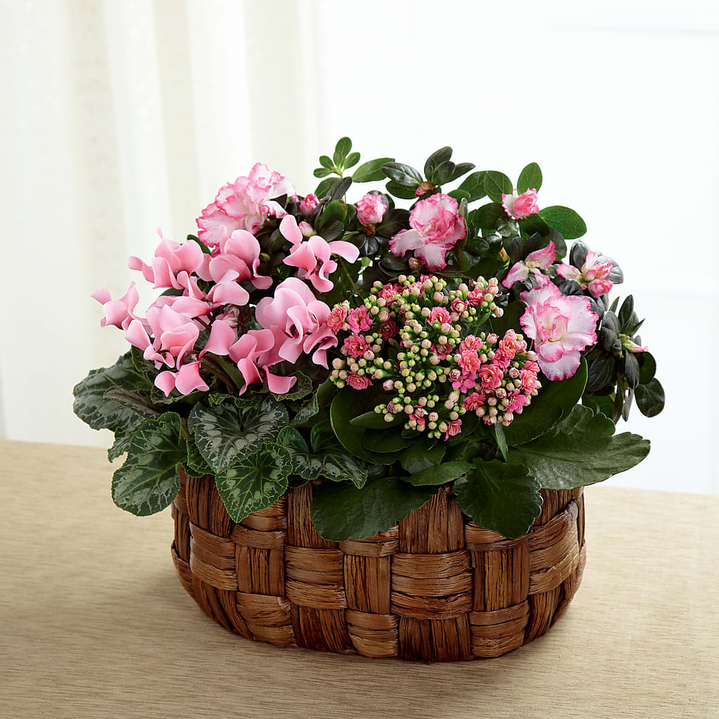 Pink Assortment – BELMA'S PRECIOUS FLOWERS, Kodiak AK