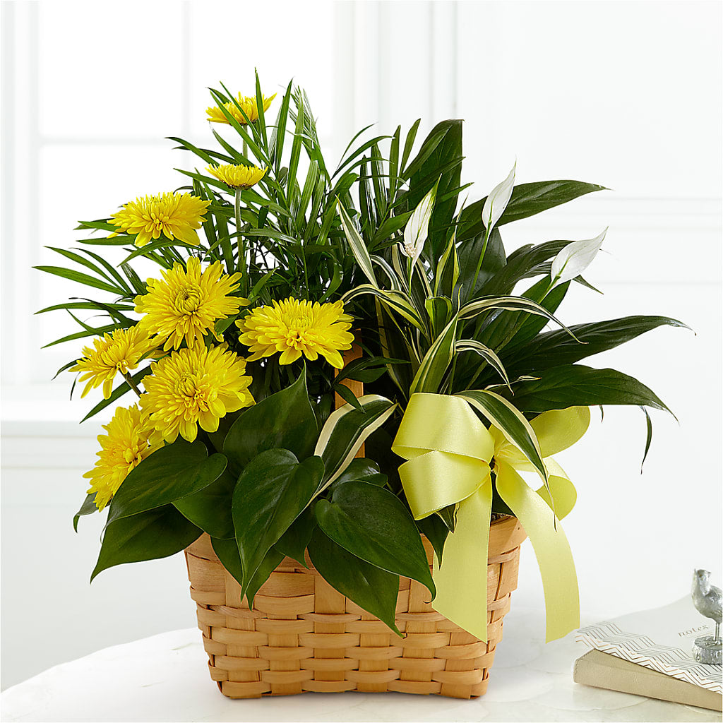 Loving Light Dishgarden – BELMA'S PRECIOUS FLOWERS, Kodiak AK