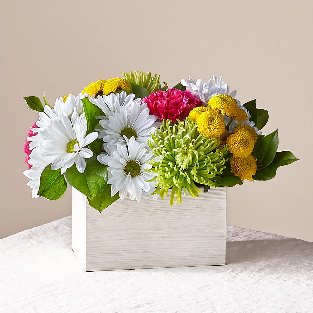 Sorbet Bouquet – BELMA'S PRECIOUS FLOWERS, Kodiak AK