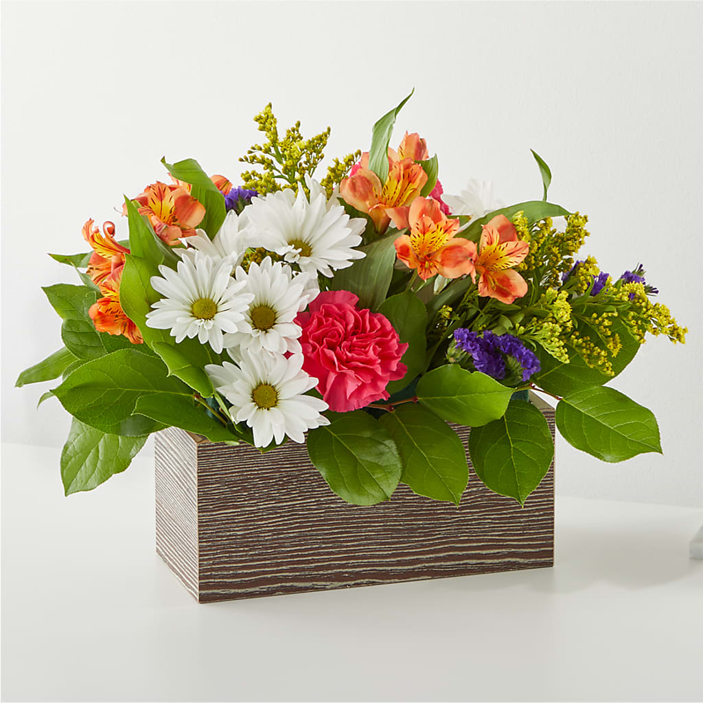 Oopsie Daisy Box Bouquet – BELMA'S PRECIOUS FLOWERS, Kodiak AK