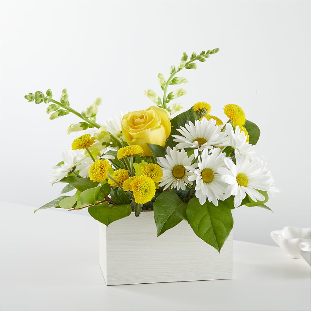 Sun Salutation Box Bouquet – BELMA'S PRECIOUS FLOWERS, Kodiak AK