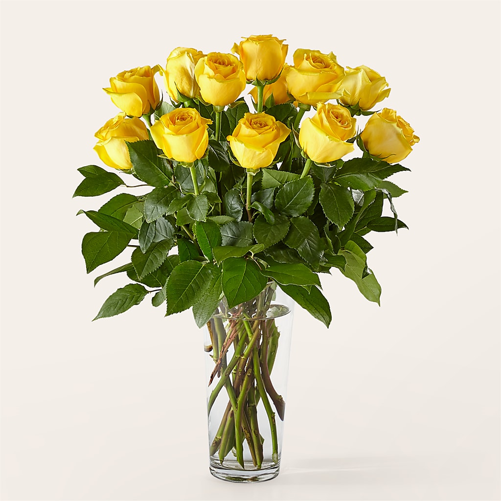 Long Stem Yellow Rose Bouquet – BELMA'S PRECIOUS FLOWERS, Kodiak AK