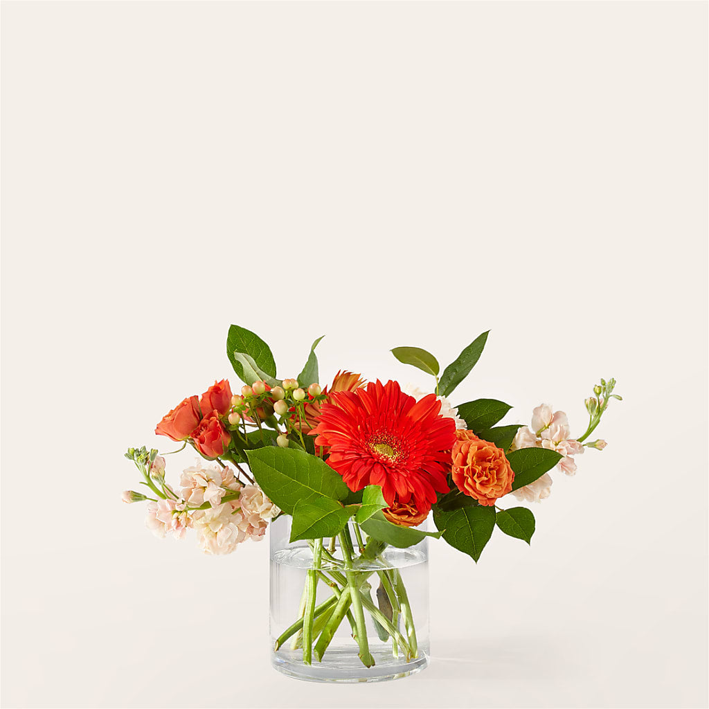 Paloma Please Bouquet – BELMA'S PRECIOUS FLOWERS, Kodiak AK