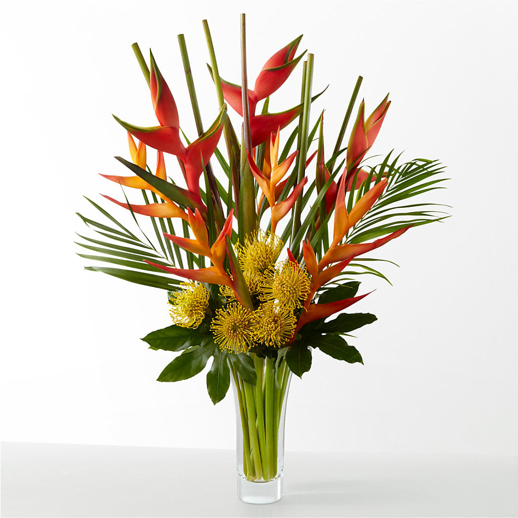 The Drama – BELMA'S PRECIOUS FLOWERS, Kodiak AK