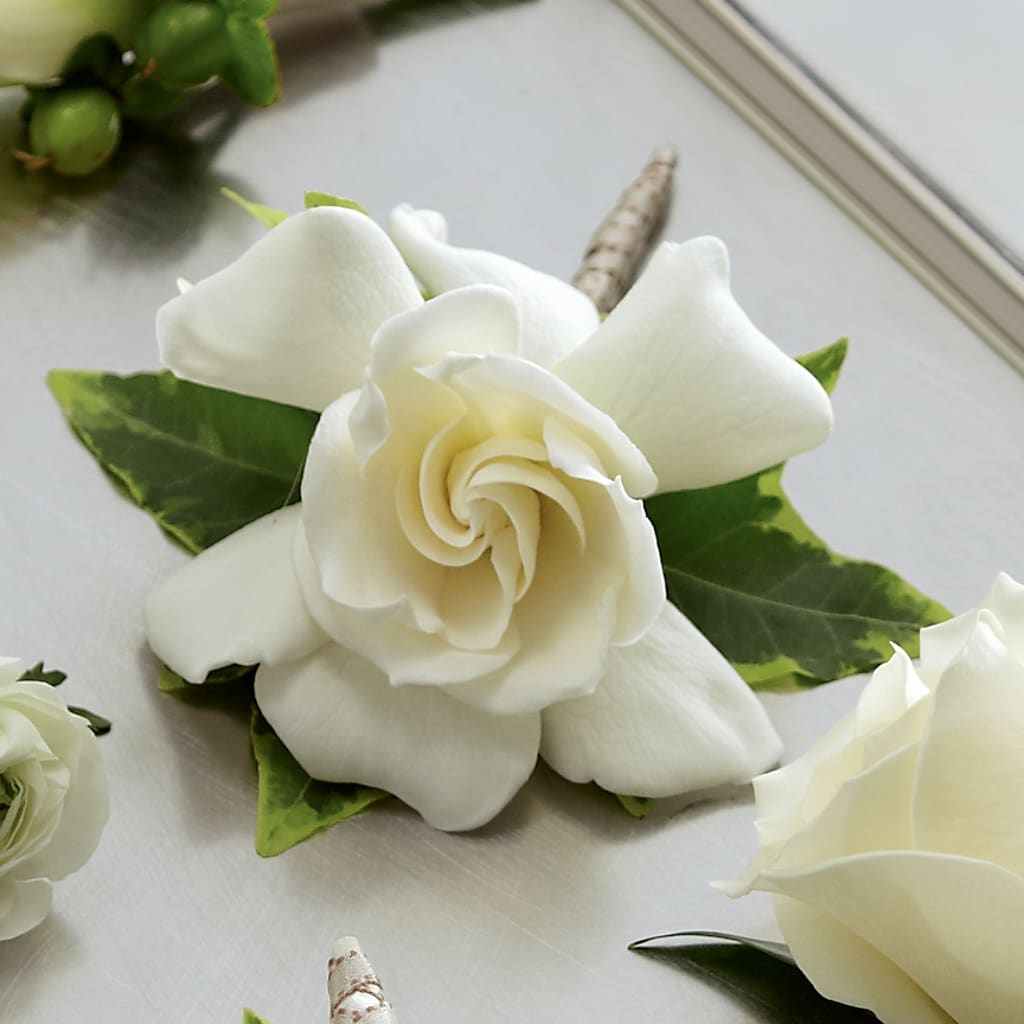 Gardenia Boutonniere – BELMA'S PRECIOUS FLOWERS, Kodiak AK