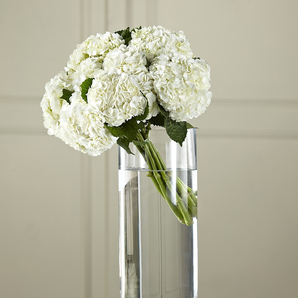 White Hydrangea Hand-Tied Bouquet – BELMA'S PRECIOUS FLOWERS, Kodiak AK