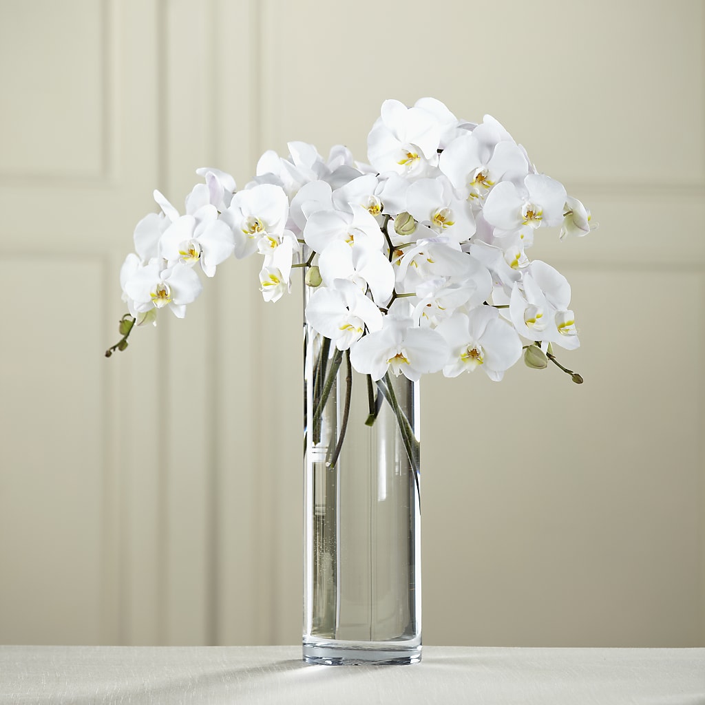White Phalaenopsis Bouquet – BELMA'S PRECIOUS FLOWERS, Kodiak AK