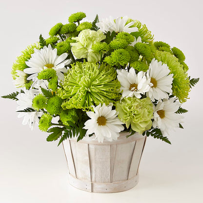 Lucky Charm Basket (Standard) – BELMA'S PRECIOUS FLOWERS, Kodiak AK