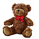 Adorable Plush Bear – BELMA'S PRECIOUS FLOWERS, Kodiak AK