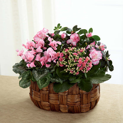 Pink Assortment – BELMA'S PRECIOUS FLOWERS, Kodiak AK