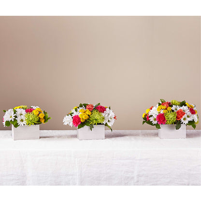 Sorbet Bouquet – BELMA'S PRECIOUS FLOWERS, Kodiak AK