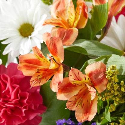 Oopsie Daisy Box Bouquet – BELMA'S PRECIOUS FLOWERS, Kodiak AK