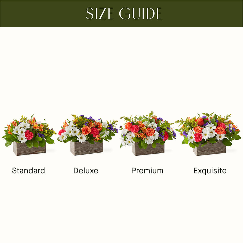 Oopsie Daisy Box Bouquet – BELMA'S PRECIOUS FLOWERS, Kodiak AK