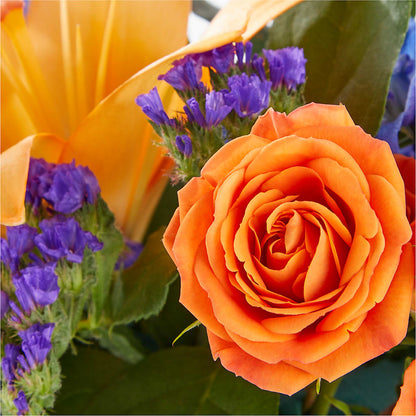 Radiant Citrus Box Bouquet – BELMA'S PRECIOUS FLOWERS, Kodiak AK