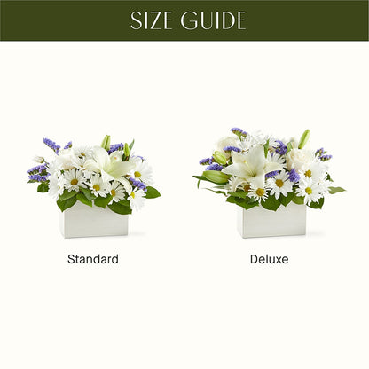 Beyond Blue Box Bouquet – BELMA'S PRECIOUS FLOWERS, Kodiak AK
