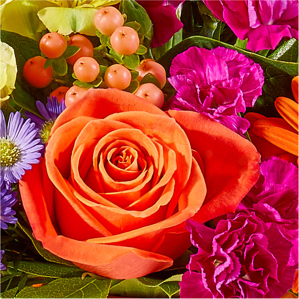 Tricks & Treats Pumpkin – BELMA'S PRECIOUS FLOWERS, Kodiak AK