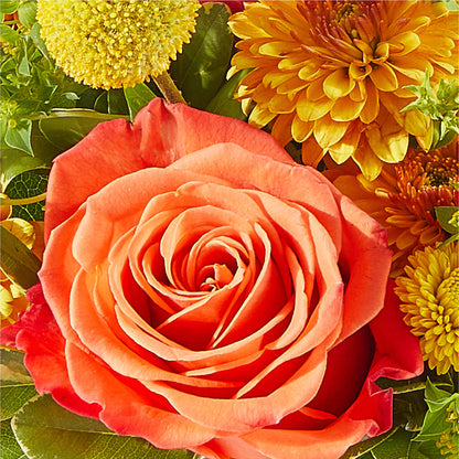 Gourdgeous Pumpkin – BELMA'S PRECIOUS FLOWERS, Kodiak AK