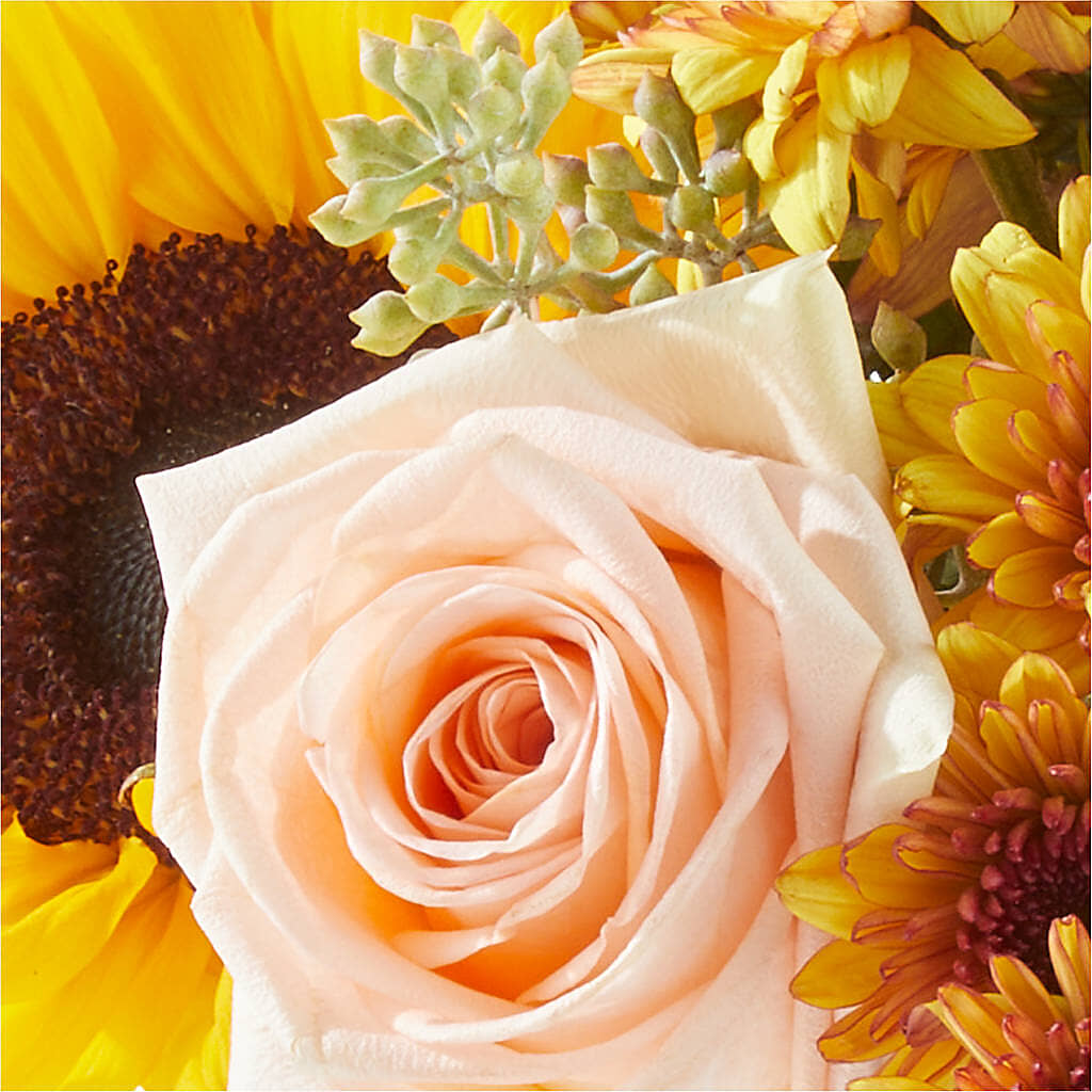 Pumpkin to Talk About Bouquet – BELMA'S PRECIOUS FLOWERS, Kodiak AK