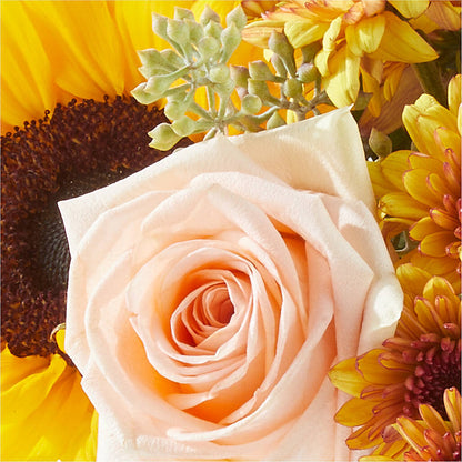 Pumpkin to Talk About Bouquet – BELMA'S PRECIOUS FLOWERS, Kodiak AK