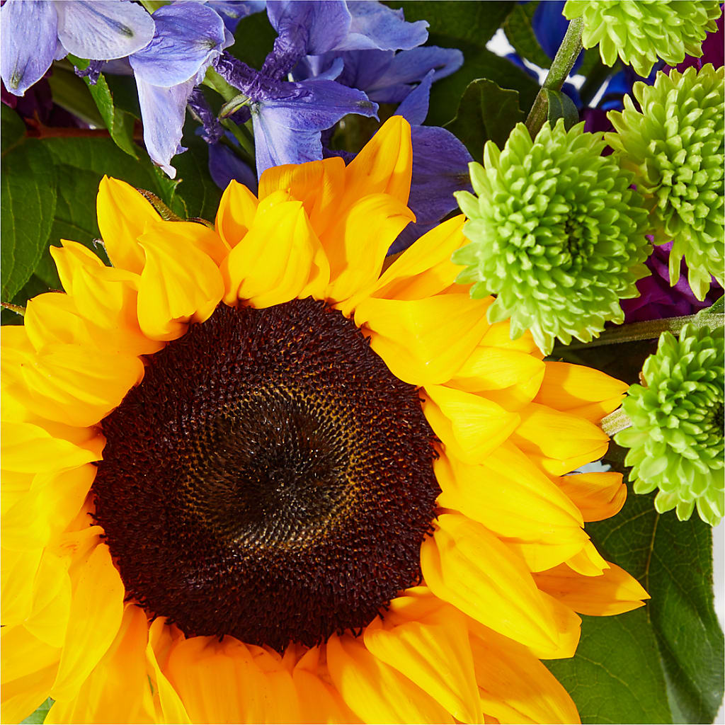 Catching Rays Bouquet – BELMA'S PRECIOUS FLOWERS, Kodiak AK