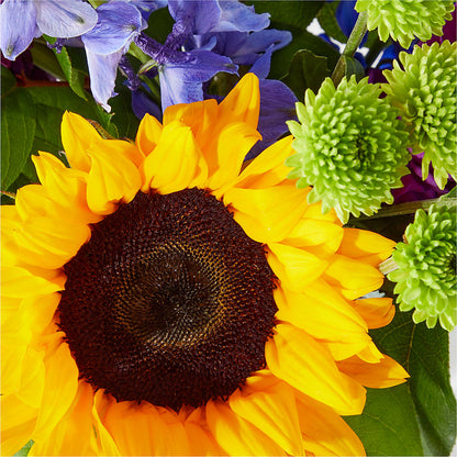 Catching Rays Bouquet – BELMA'S PRECIOUS FLOWERS, Kodiak AK