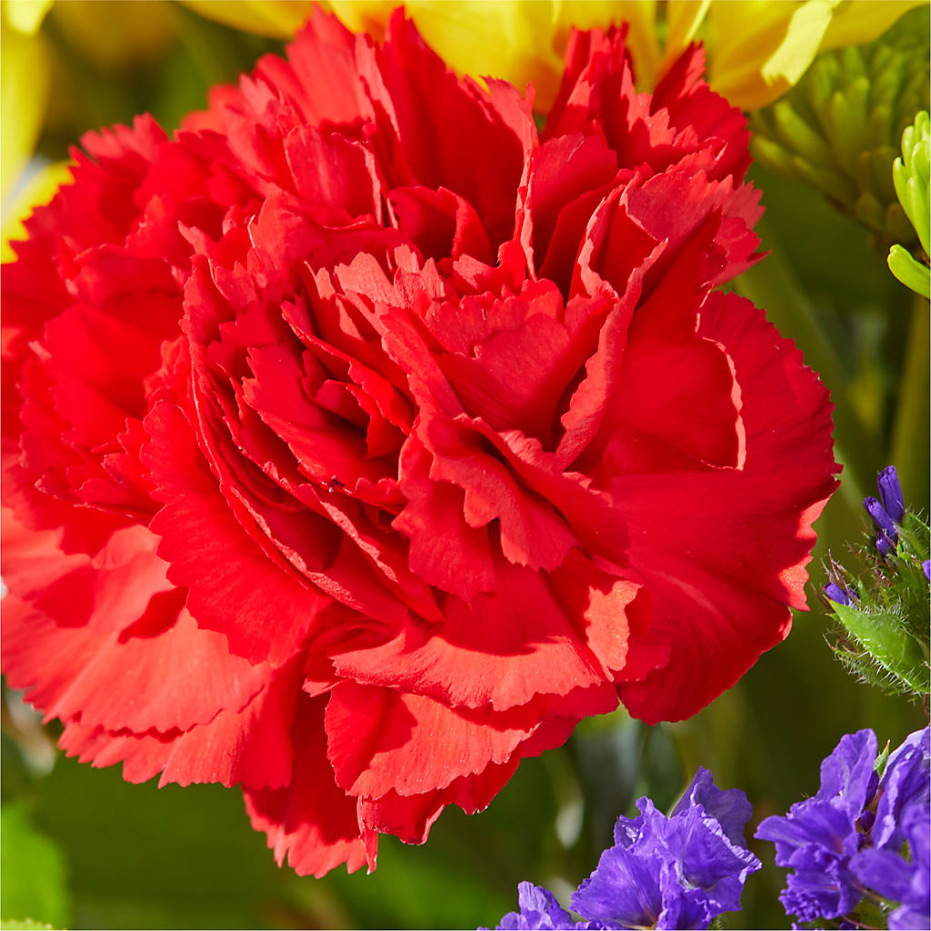 Brighter Days Bouquet – BELMA'S PRECIOUS FLOWERS, Kodiak AK