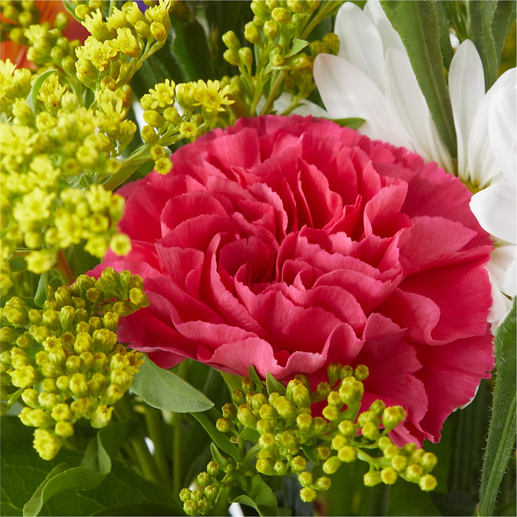 Oopsie Daisy Bouquet – BELMA'S PRECIOUS FLOWERS, Kodiak AK