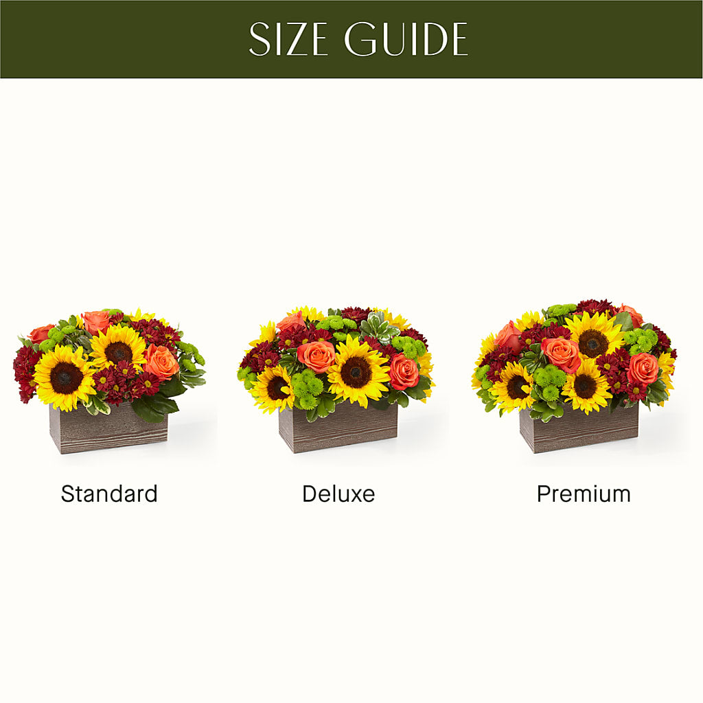 Happy Harvest Garden – BELMA'S PRECIOUS FLOWERS, Kodiak AK
