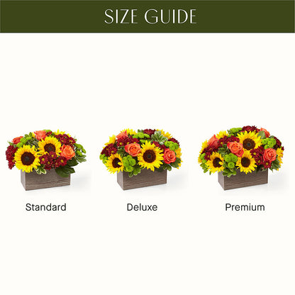 Happy Harvest Garden – BELMA'S PRECIOUS FLOWERS, Kodiak AK