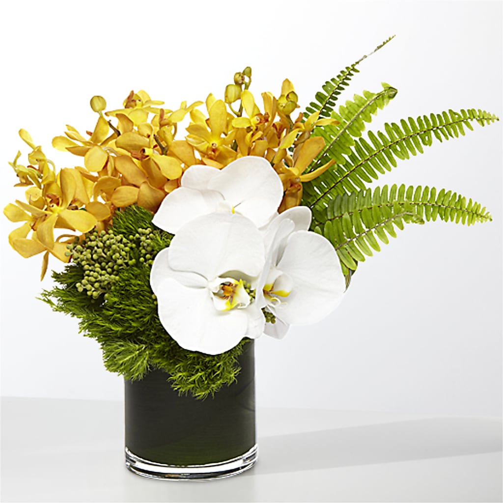 The Tropics – BELMA'S PRECIOUS FLOWERS, Kodiak AK