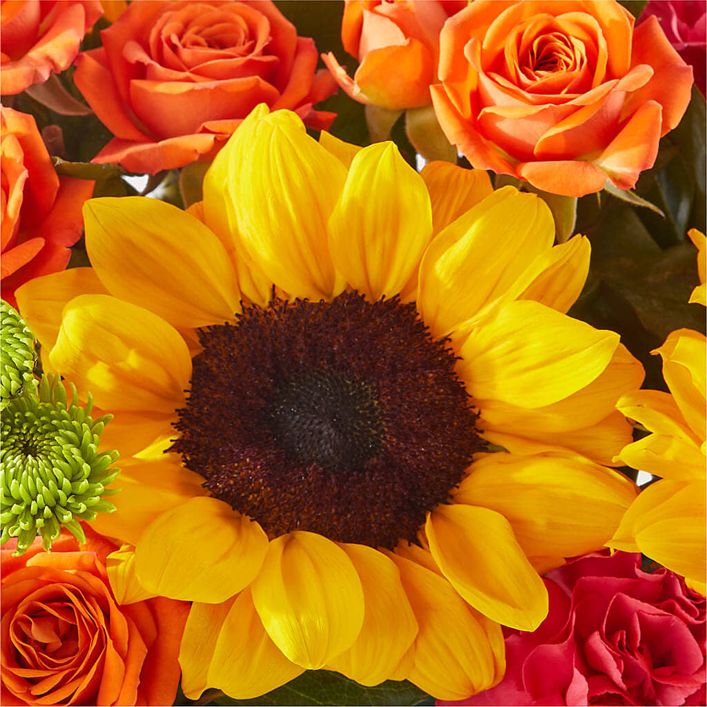 Sun-drenched Blooms Box Bouquet – BELMA'S PRECIOUS FLOWERS, Kodiak AK