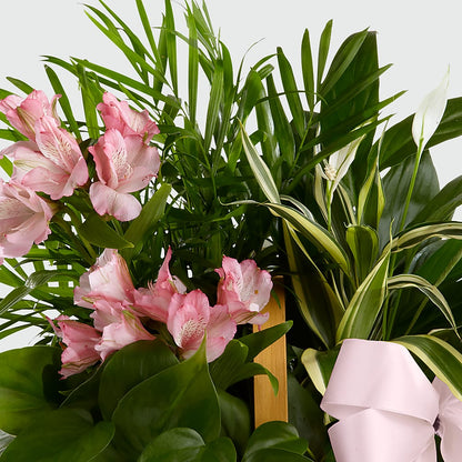 Living Spirit Dishgarden – BELMA'S PRECIOUS FLOWERS, Kodiak AK