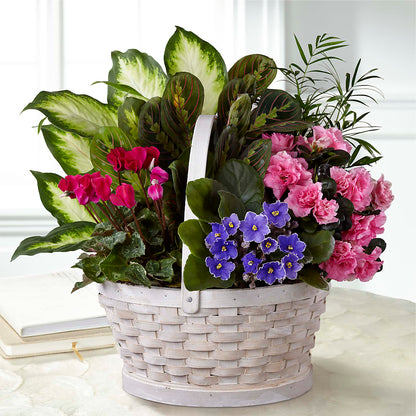 Peaceful Garden Planter – BELMA'S PRECIOUS FLOWERS, Kodiak AK