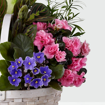 Peaceful Garden Planter – BELMA'S PRECIOUS FLOWERS, Kodiak AK