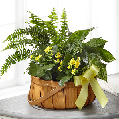 Always Dear Dishgarden – BELMA'S PRECIOUS FLOWERS, Kodiak AK