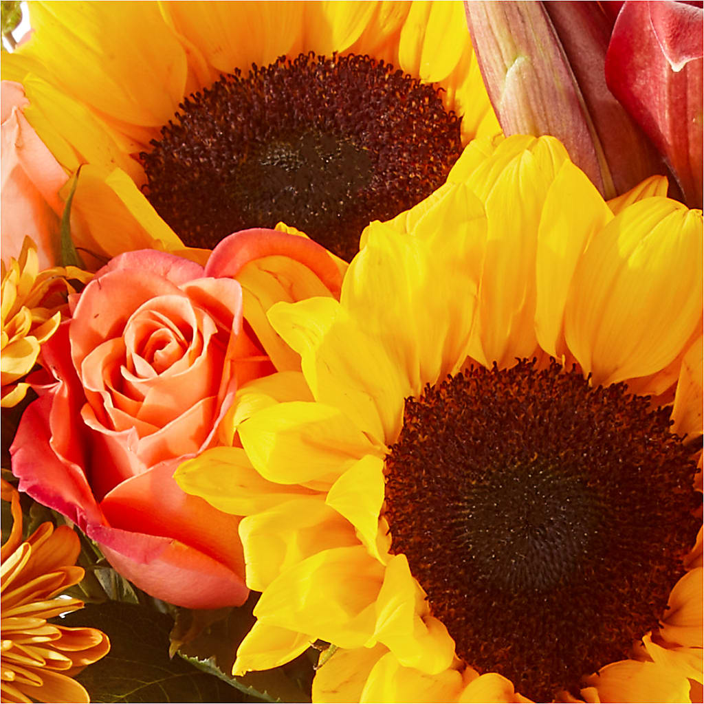 Acorn Lane Bouquet – BELMA'S PRECIOUS FLOWERS, Kodiak AK