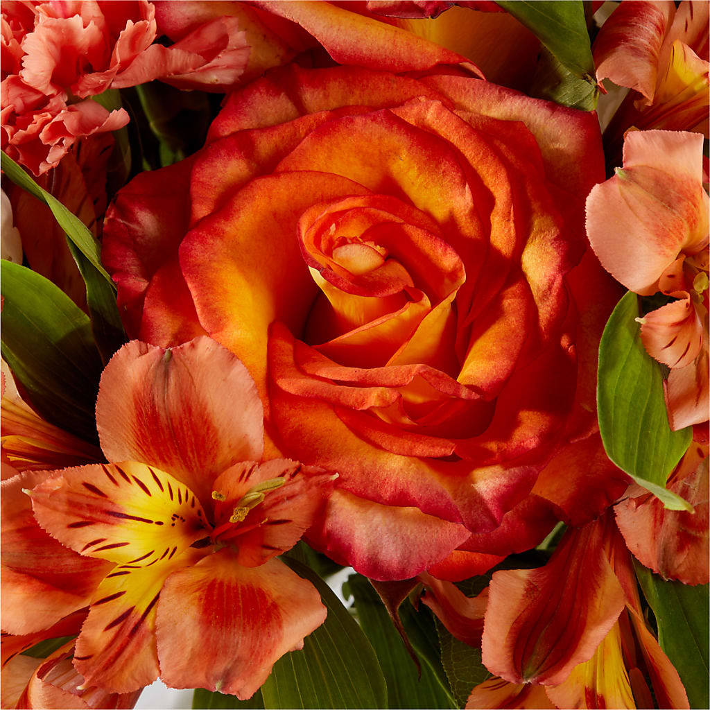 Apricot Glow Bouquet – BELMA'S PRECIOUS FLOWERS, Kodiak AK