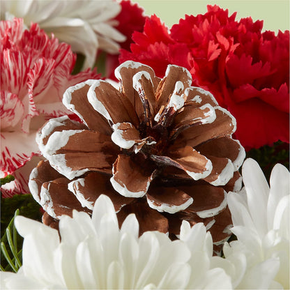 Candy Cane Lane Bouquet – BELMA'S PRECIOUS FLOWERS, Kodiak AK