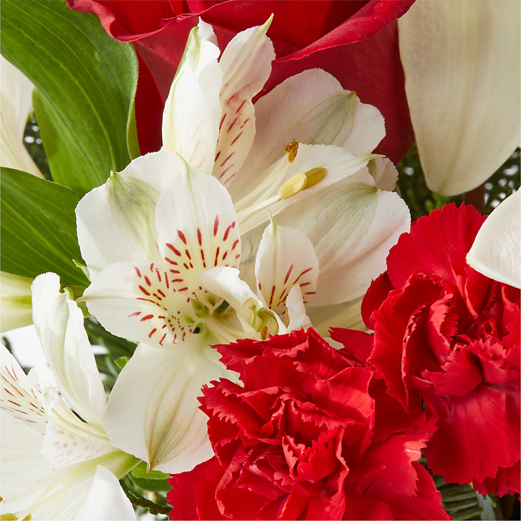 Holiday Season Bouquet – BELMA'S PRECIOUS FLOWERS, Kodiak AK