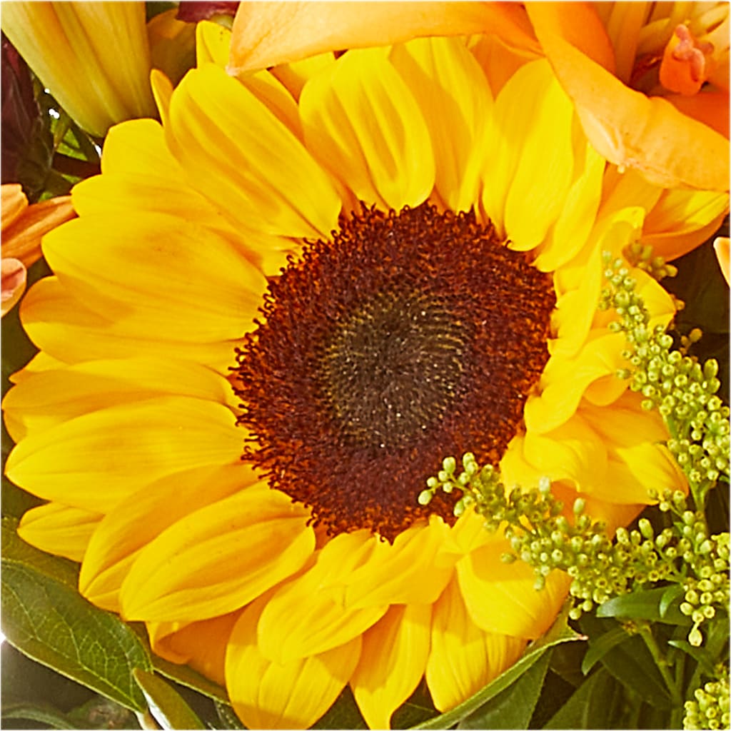 Seasons Change Bouquet – BELMA'S PRECIOUS FLOWERS, Kodiak AK