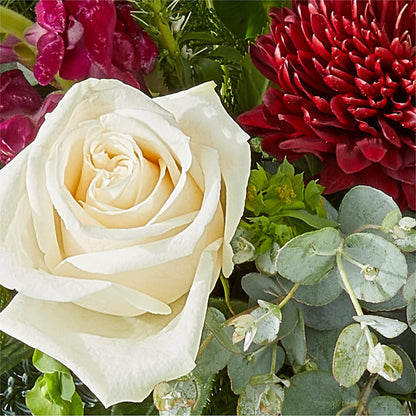 Cranberry Fizz Bouquet – BELMA'S PRECIOUS FLOWERS, Kodiak AK