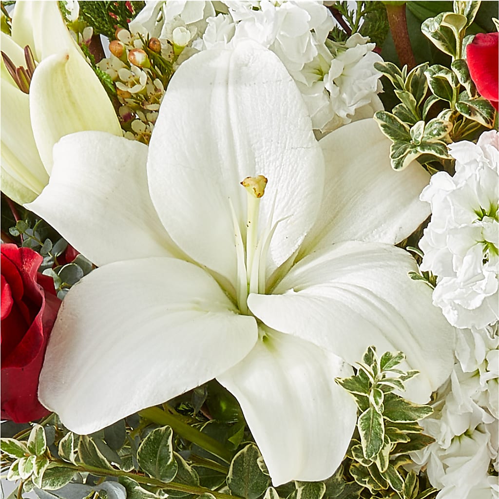 Twinkle Lights Bouquet – BELMA'S PRECIOUS FLOWERS, Kodiak AK
