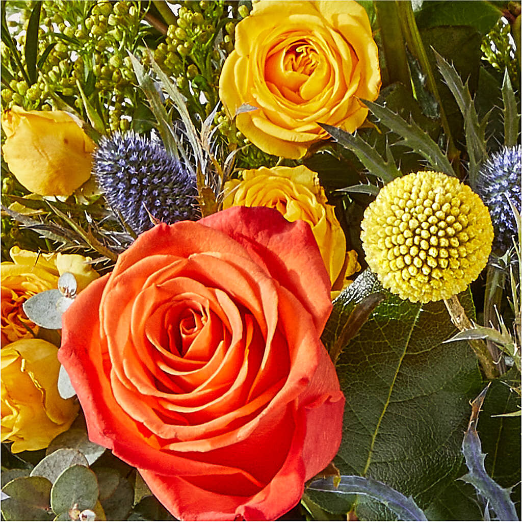 Disco Bouquet – BELMA'S PRECIOUS FLOWERS, Kodiak AK