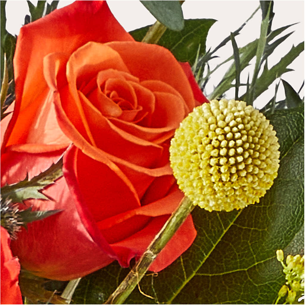 Disco Bouquet – BELMA'S PRECIOUS FLOWERS, Kodiak AK