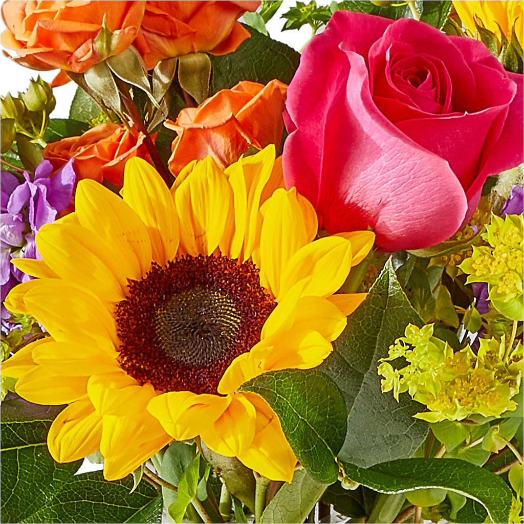 Vibrant Greetings Bouquet – BELMA'S PRECIOUS FLOWERS, Kodiak AK