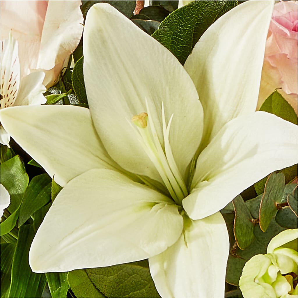 Ballet Slippers Bouquet – BELMA'S PRECIOUS FLOWERS, Kodiak AK